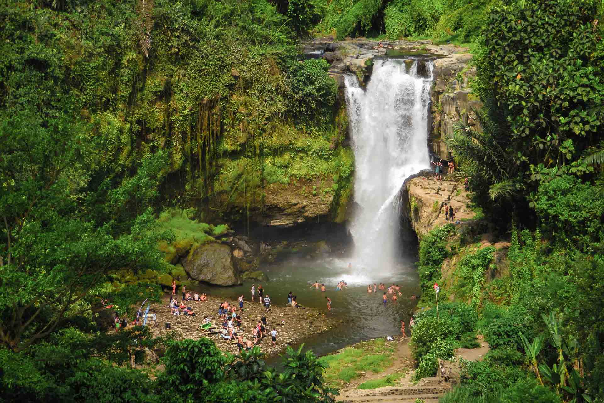 Ubud + Waterfall Tour 2